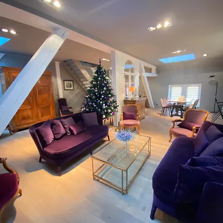 L'ecrin De - Hypercentre - Garage Prive Apartament Colmar