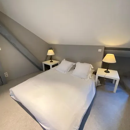 Apartament L'ecrin De - Hypercentre - Garage Prive *