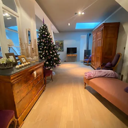 L'ecrin De - Hypercentre - Garage Prive *